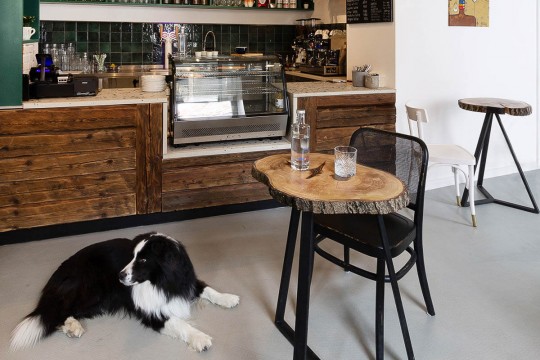 Csónakos kávézó - Alapterület: 40 m2